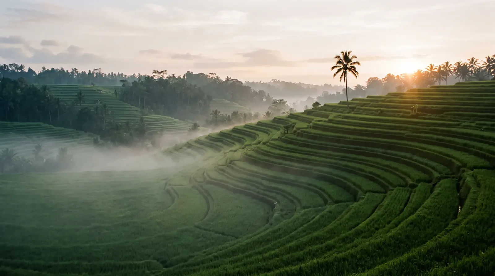 Ubud & Seminyak, Bali