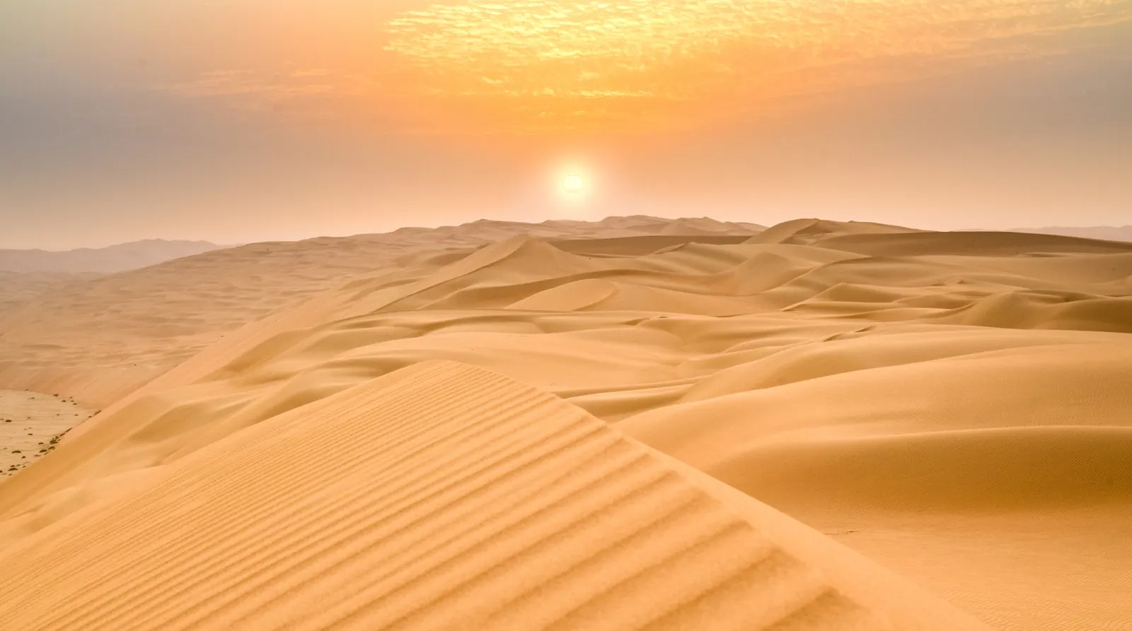 Abu Dhabi desert, UAE