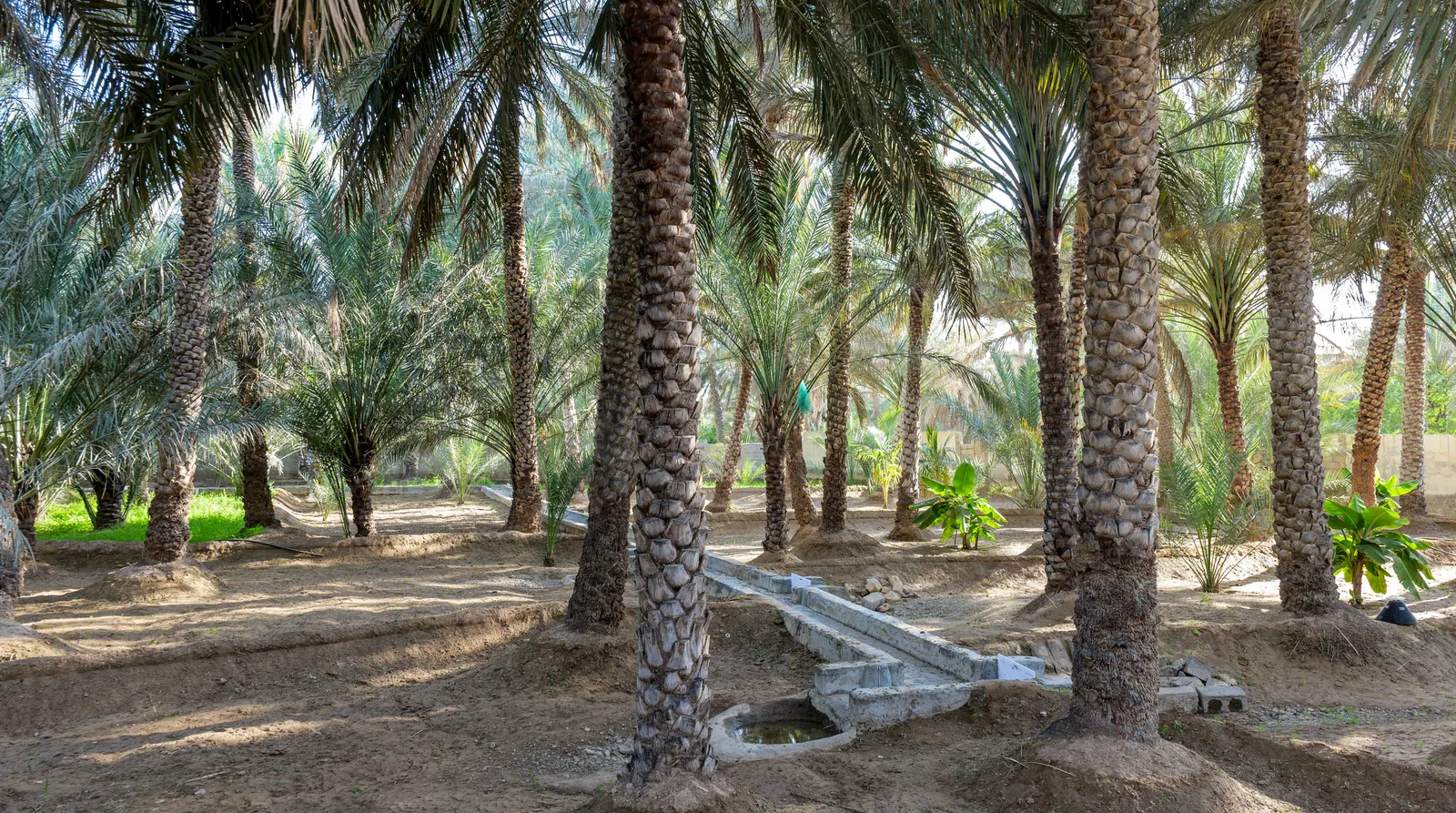 Al Ain, Abu Dhabi emirate, UAE