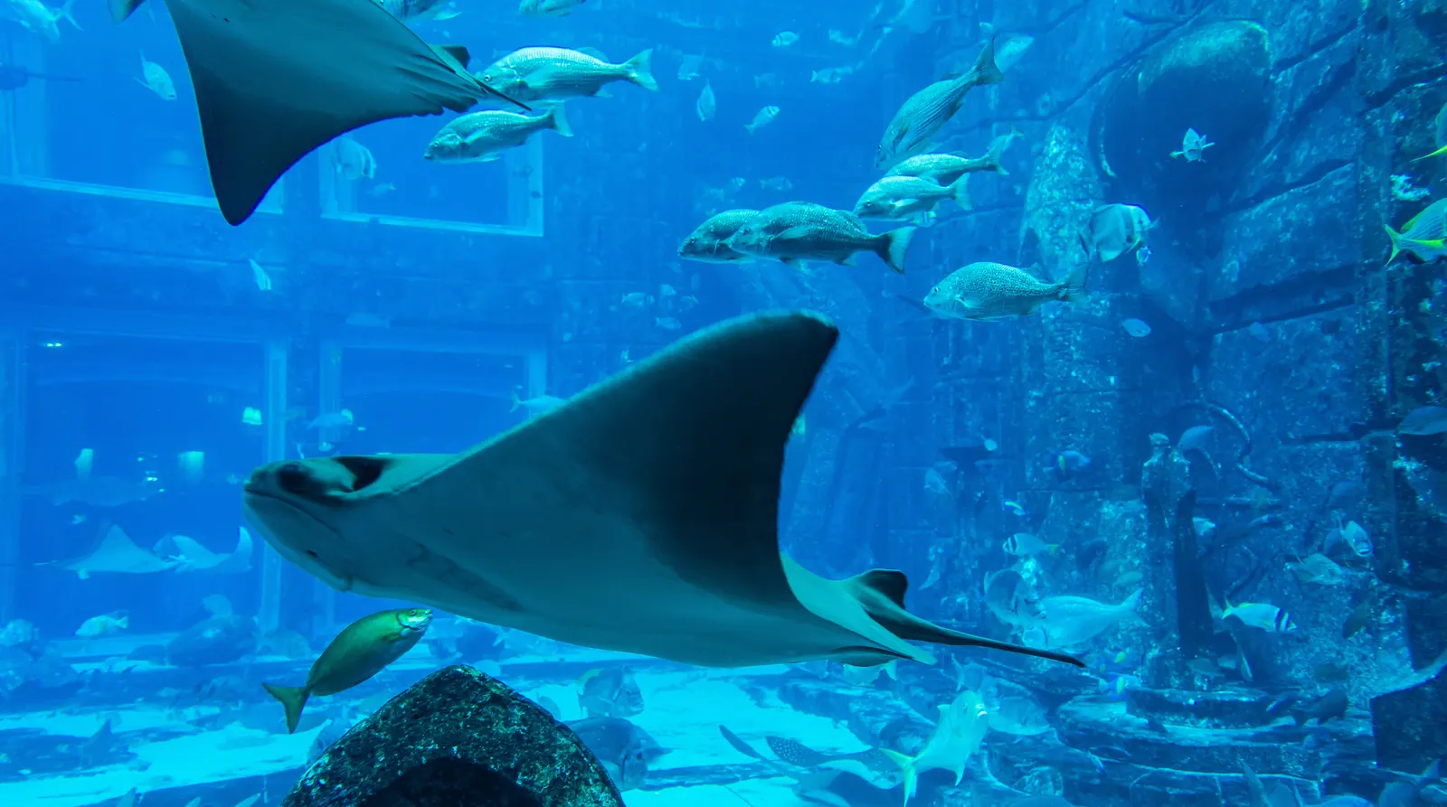 Atlantis, The Palm, Dubai, UAE