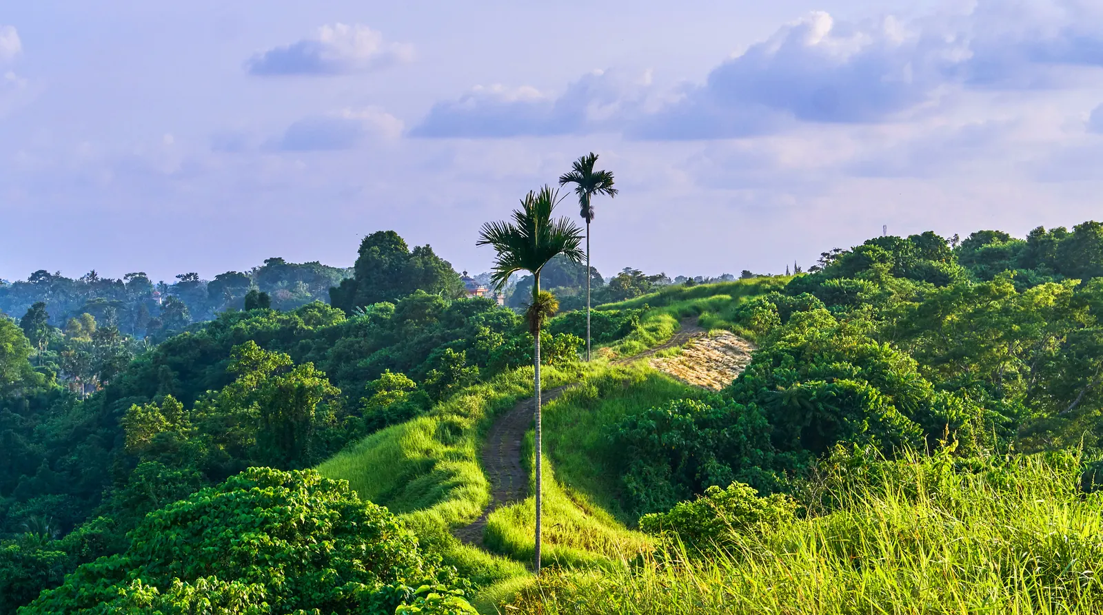 Campuhan Ridge, Ubud, Bali, Indonesia