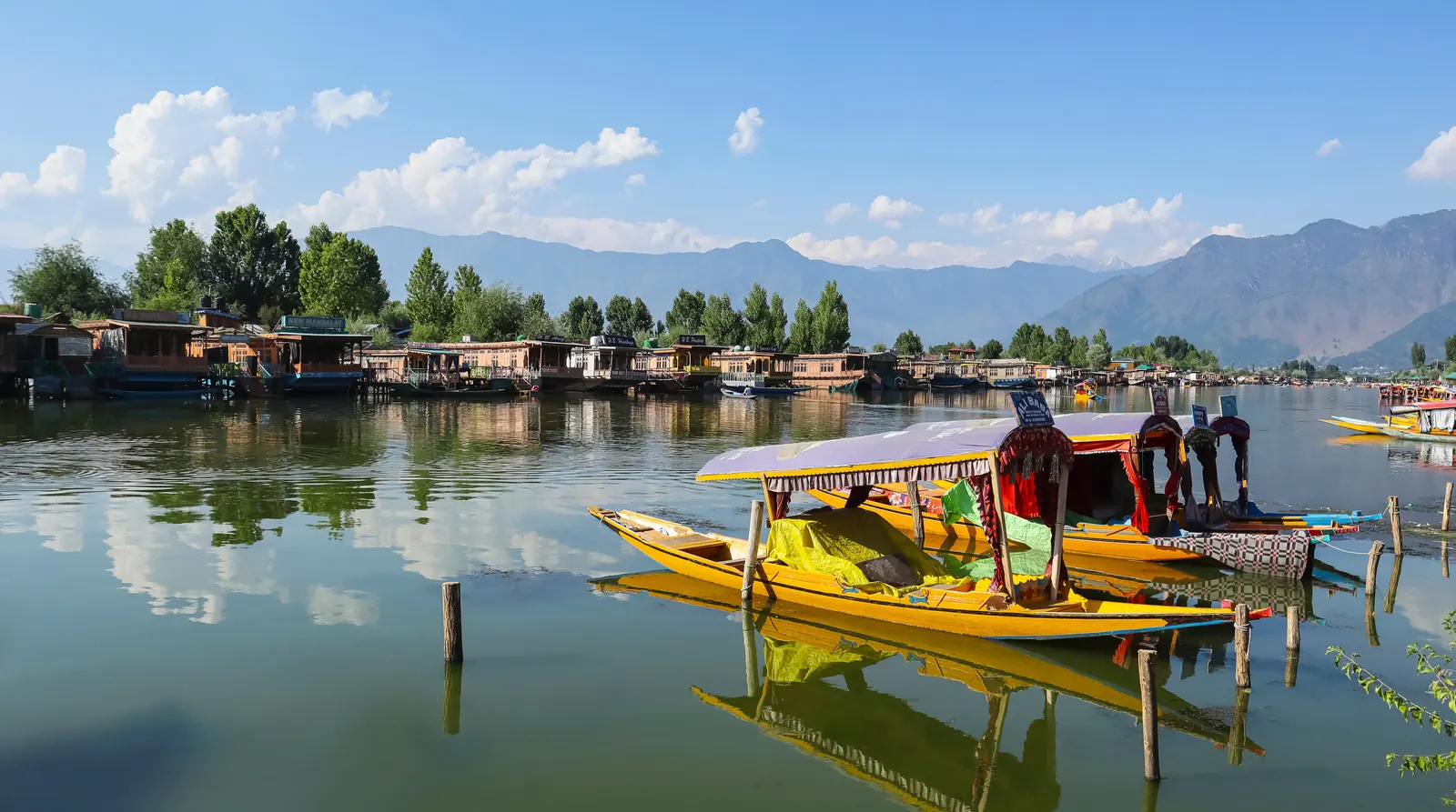 Srinagar, Kashmir