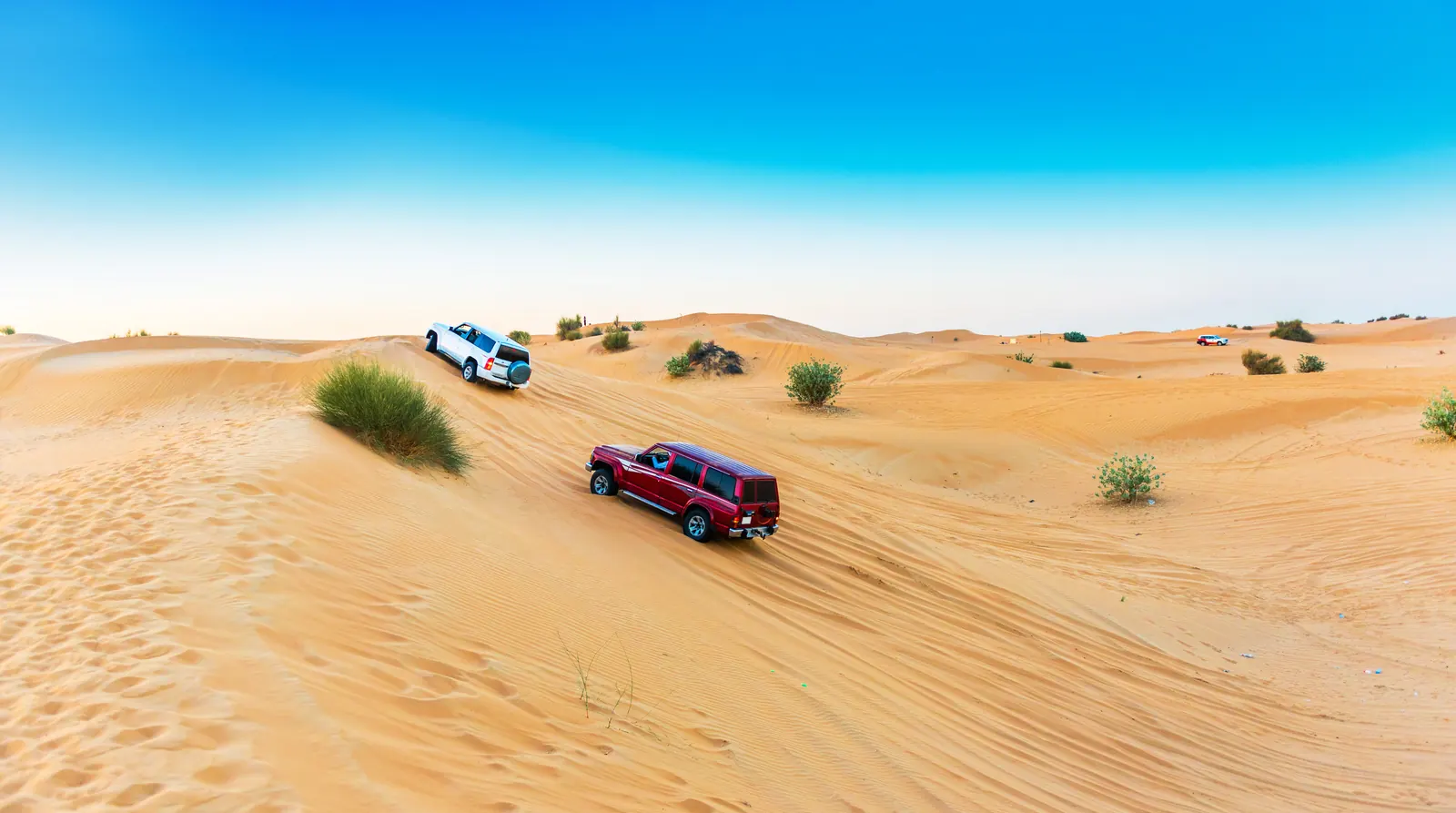 Dubai desert, UAE