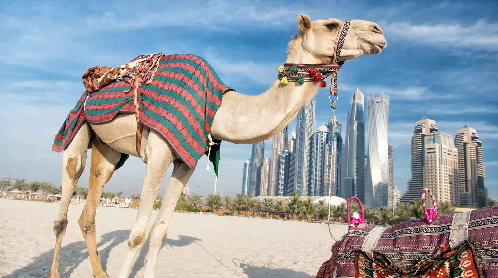 Dubai, UAE