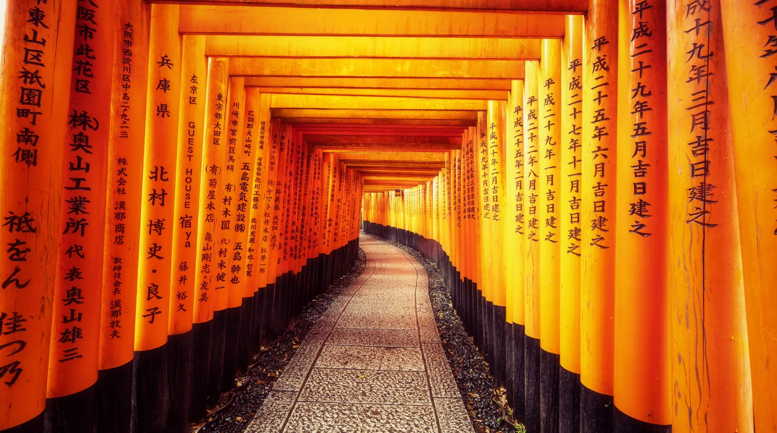 Japan Visa for Indians 2026: Fee, VFS Centres and Documents