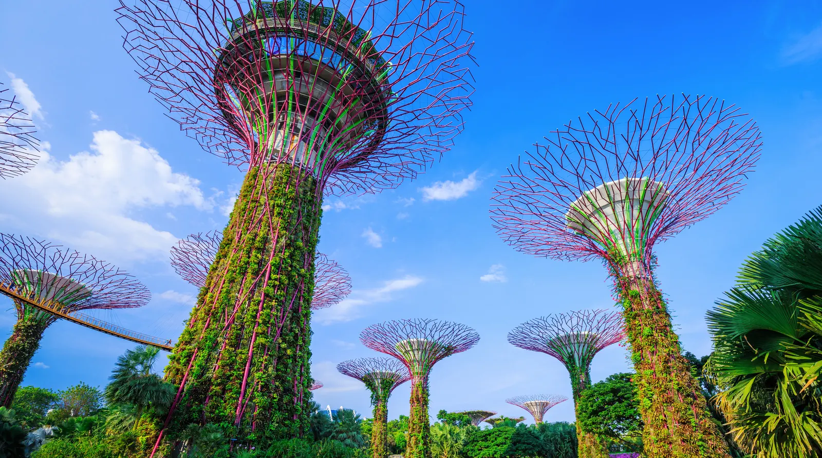 Gardens by the Bay, Marina Bay, Singapore