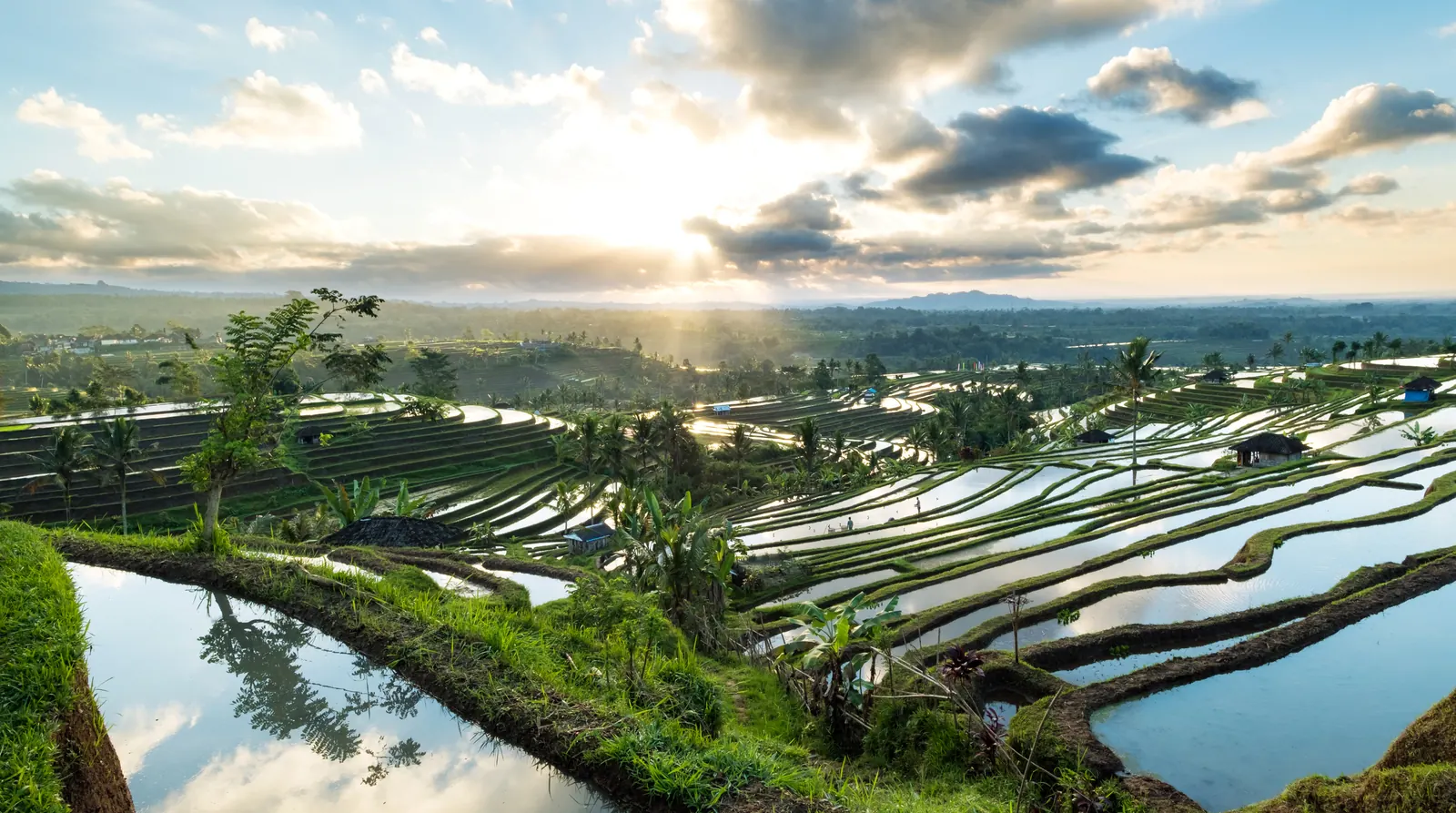 Jatiluwih, Tabanan, Bali, Indonesia