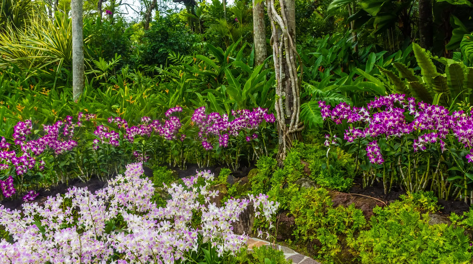 Singapore Botanic Gardens, Singapore