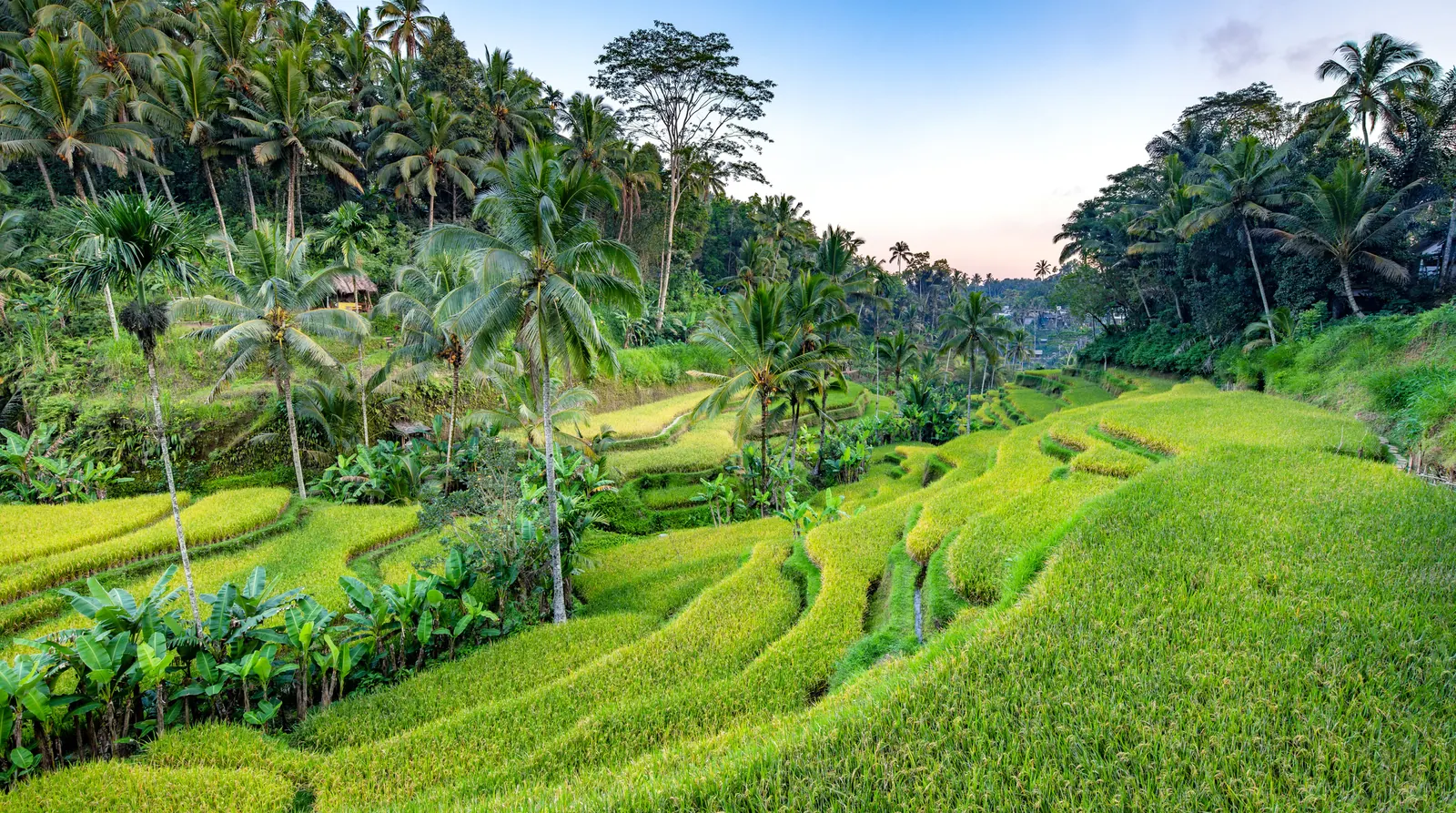 Tegalalang, Ubud, Bali, Indonesia