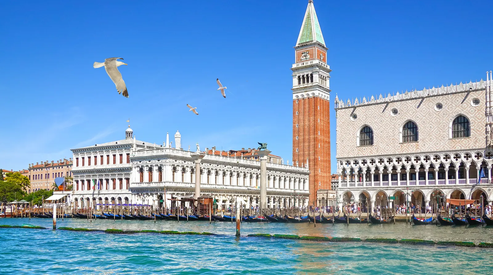 Venice, Italy — Venice: Gondola and St Mark’s