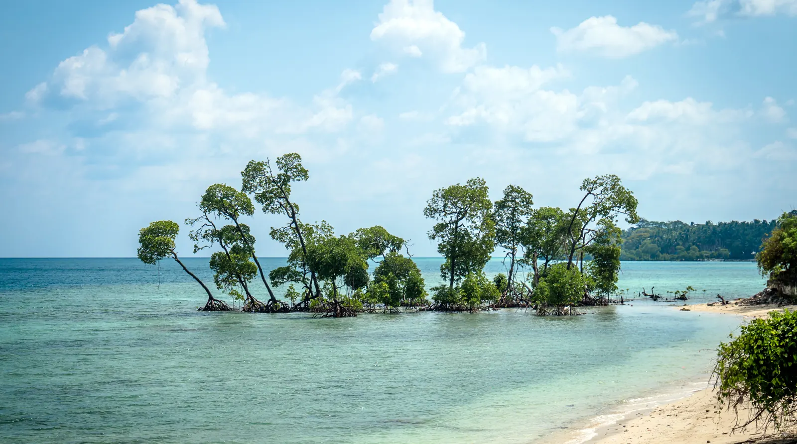 Havelock & Neil Island
