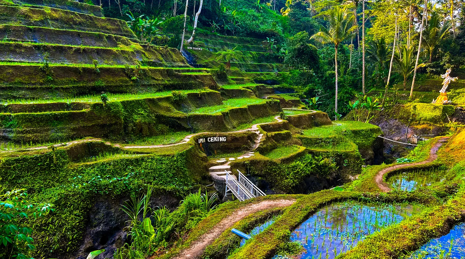Bali Trip Cost from India 2026: Prices for 5 to 7 Nights