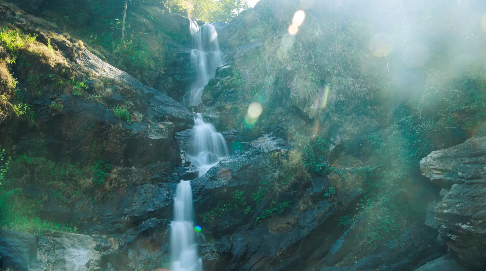 Coorg Coffee Plantation Tour 2026: Estate Day from ₹2,499