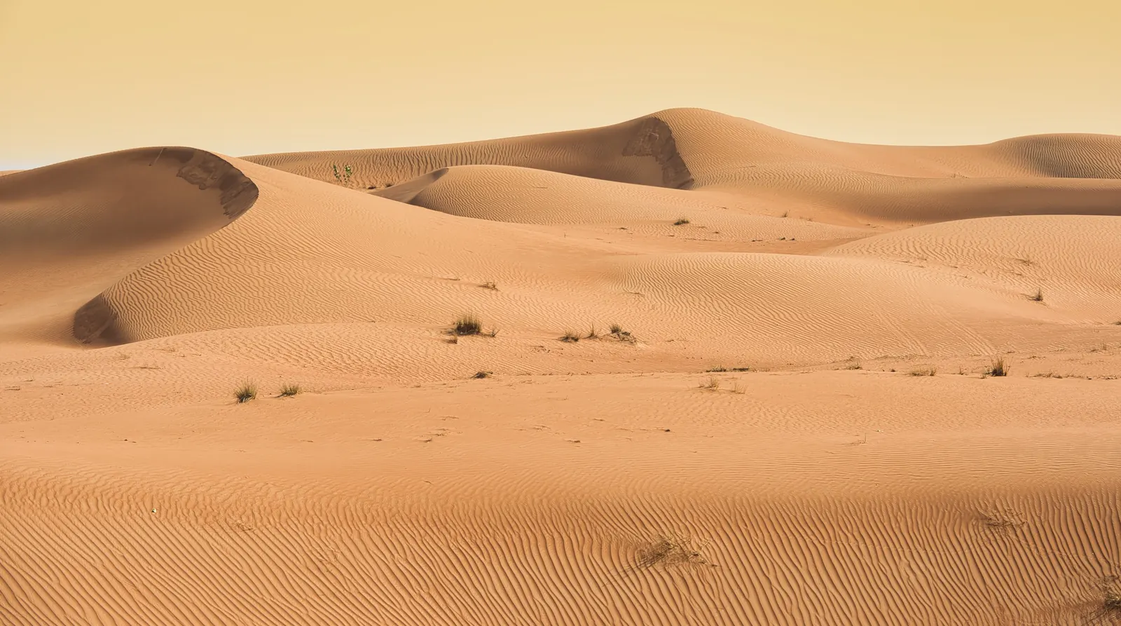 Best Time to Visit Dubai: Month Guide and Trips from ₹44,999