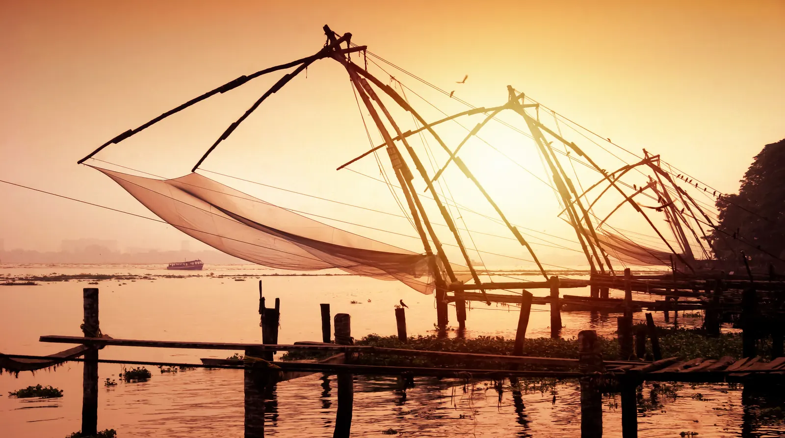 Alleppey & Munnar