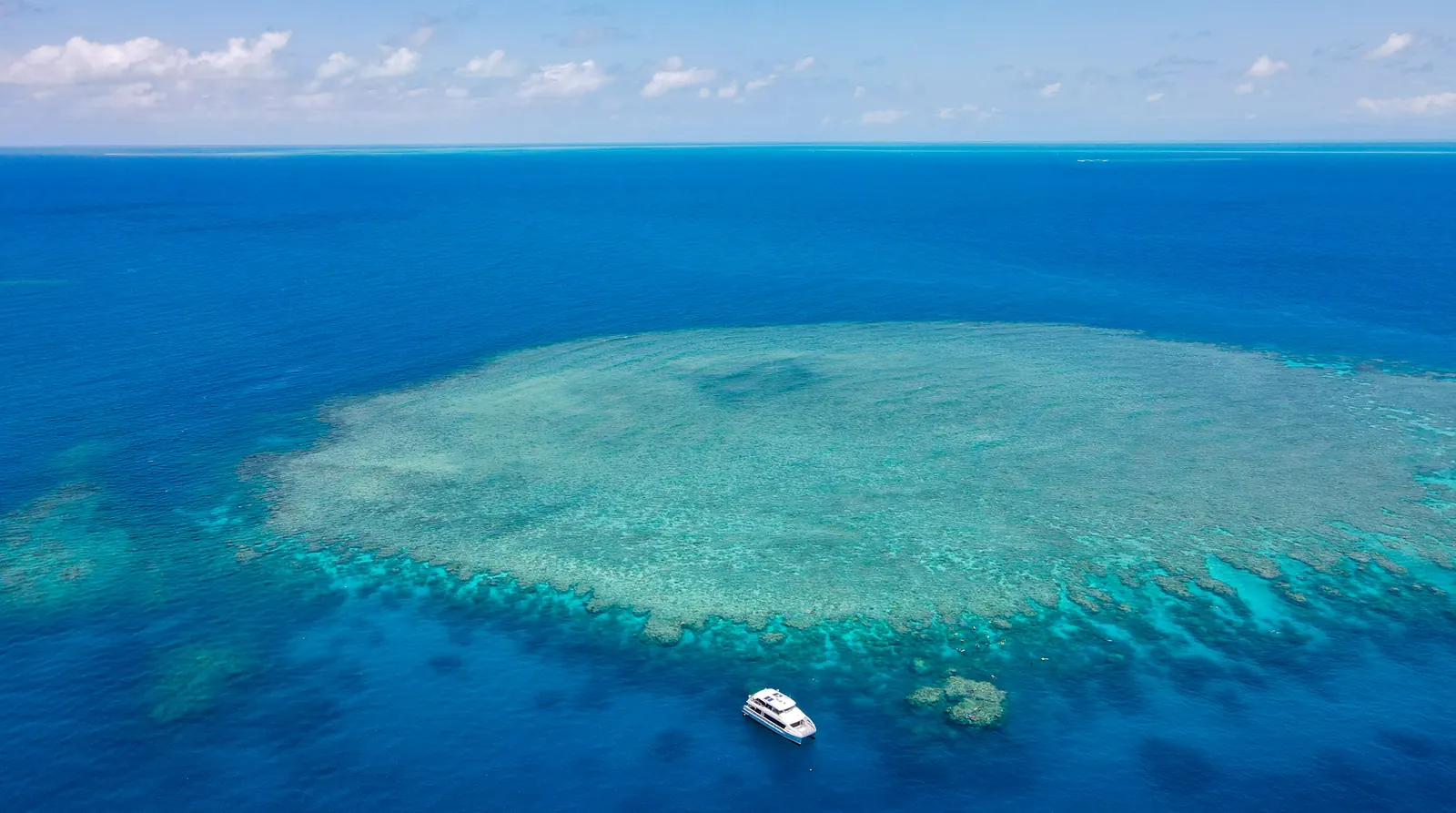 Cairns & Port Douglas, Australia — Reef & Rainforest: Cairns Deep Dive
