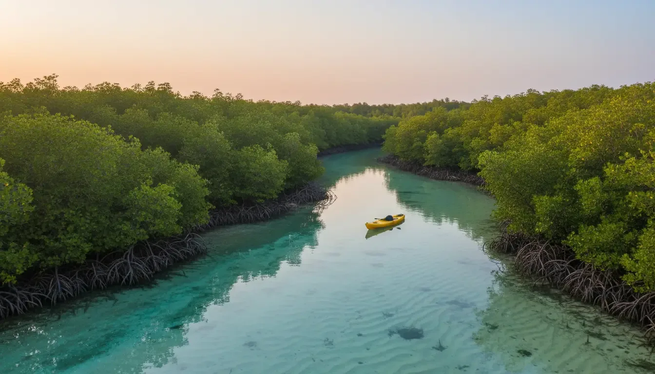 Mangrove National Park, Abu Dhabi, UAE